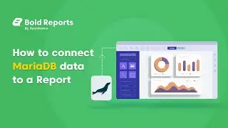 How to Connect MariaDB Data to a Report