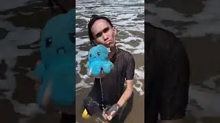 seru sekali berenang bersama gurita.. 