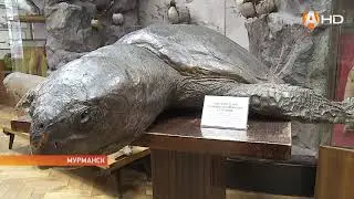 100-летие празднует старейшая научная организация Заполярья
