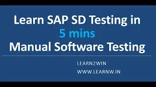 Testing SAP Application | SAP Manual Testing | manual software testing | testcase execution writing