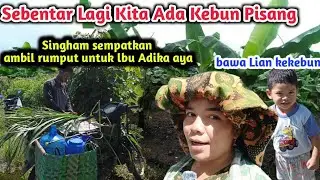 Kita Akan Tanam Pisang || Hari Pertama Singham Membersihkan Tanah Yang Baru Kita beli