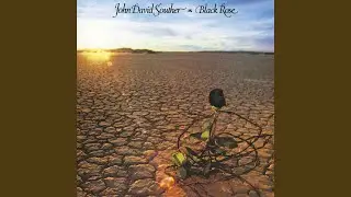 Black Rose