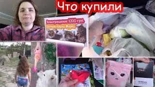 VLOG Ищем Мурку. Надежды всё меньше. Но я не сдаюсь