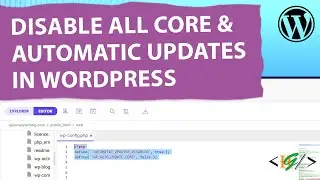 How to Disable All Automatic & Core Updates through Wp-Config.php WordPress