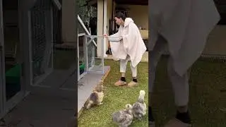 ЛЮБИМЫЕ питомцы Оксаны Самойловой! 