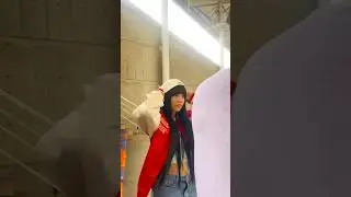 Esta chica con GRAN estilo le hice el MEJOR VIDEO en un ESTADIO de beisbol📸🤯 parte 2