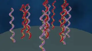 DNA microarray förklarat (svenskt tal)