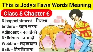 This is Jody's Fawn class 8 | Class 8 english chapter 6 | this is jody's fawn word meaning