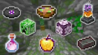 TOP 10 RAREST ITEMS IN MINECRAFT!!! + How To Get Them!