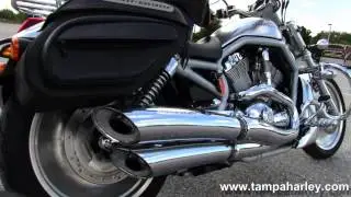 Used 2002 Harley-Davidson VRSCA V-Rod - Harley Sound