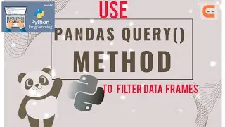 How to Use Pandas Query Method To Filter Data Frame(Example)