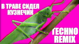 В Траве Сидел Кузнечик TECHNO REMIX (Незнайка)