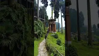 Lamahatta Eco Park | Lamahatta | Pine Forest Darjeeling 