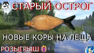 🌟СТАРЫЙ ОСТРОГ🌟НОВЫЕ КОРЫ НА ЛЕЩА🌟🎁РОЗЫГРЫШ🎁🌟Русская Рыбалка 4(РР4)🌟