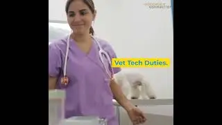 Vet Tech vs. Vet Assistant