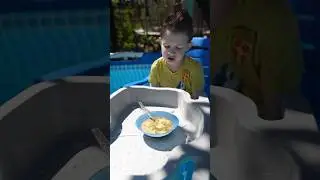Самый строгий ресторанный критик,гроза всех мам и поваров😂 Зеленый борщ 👍