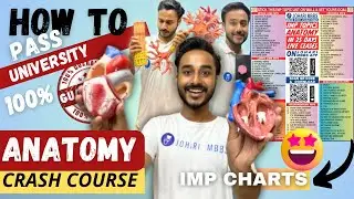 pass in university 100% guarantee | complete anatomy & biochemistry in 30 days crash course live