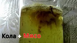 ЧТО БУДЕТ ЕСЛИ В КОКА-КОЛУ ПОЛОЖИТЬ МЯСО 🧐