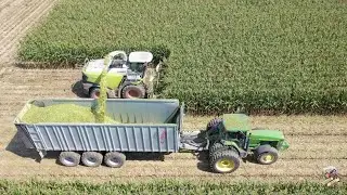 Chopping Corn Silage near Greensburg Indiana