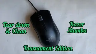 #32 Tear Down & Clean Razer Mamba Tournament Edition