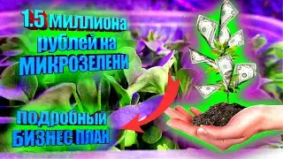 1.5 МИЛЛИОНА НА МИКРОЗЕЛЕНИ. Подробный БИЗНЕС ПЛАН.