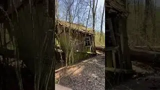 Чернобыль в 2024 году #чернобыль