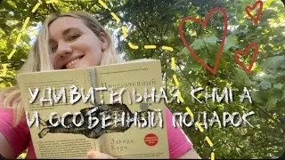 КНИЖНЫЙ ВЛОГ: «Проглоченый», новые книги и шикарные подарки