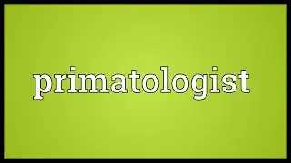 Primatologist Meaning