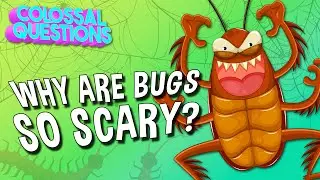 Why Are Bugs So Scary? | COLOSSAL QUESTIONS