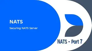 Learning and using NATS Connectivity Technology - Part 7