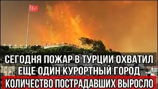 Сегодня пожар в Турции охватил еще один курортный город: количество пострадавших выросло.