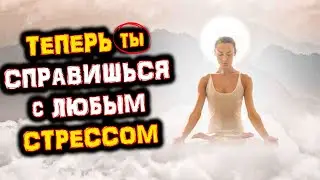 После этого Видео Ты будешь УСТОЙЧИВ ко Всем ПРОБЛЕМАМ и НЕВЗГОДАМ | Избавься от СТРЕССА