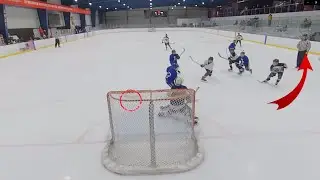 What in the HE-double-hockey-stick is that??? Ref, you're directly in front of the net!!!