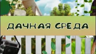 Дачная среда//И в заморозки будем садить