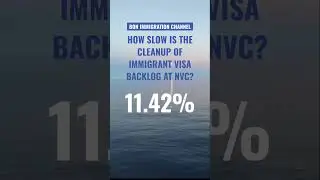 Large size and slow cleanup. What’s needed to pinpoint the bottleneck of NVC immigrant visa backlog?