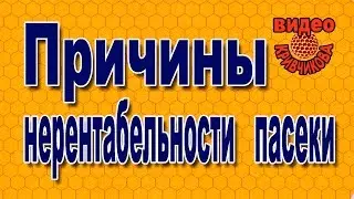 Видео Кривчикова.  Диск 16. Причины нерентабельности пасеки.
