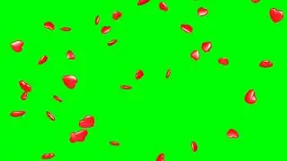 green screen 3D heart♥️♥️ particles effect