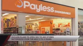 Payless set to open 1st U.S. store this November after closing all 2,100 locations last year