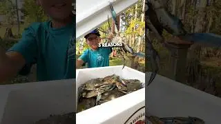 🦀 Three Reasons Why You Should Try Louisiana Blue Crabs 