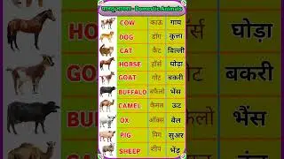 पालतू जानवरों के नाम हिंदी और इंग्लिश में | Domestic animals name in English | #petanimals #shorts