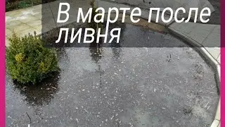 Стоит вода в клумбах