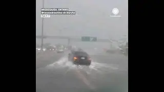 Drivers Stuck in Rapidly Rising Floodwater in Toronto, Canada