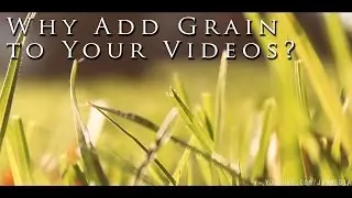 Adobe Premiere Quicktip: Why add Grain to your videos?