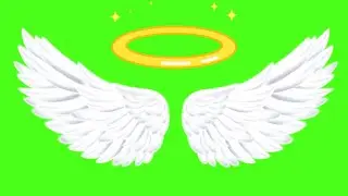 Wing Green Screen | Green Screen | Chrome Key | Wing Screen | Hura Creation | Neon Wing Green Screen