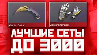 ЛУЧШИЕ СЕТЫ ДО 3000 ГОЛДЫ В СТАНДОФ2 | СЕТЫ В СТАНДОФ2