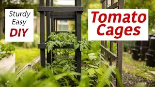 Wooden Tomato Cage Build I Sturdy Easy DIY I 4K