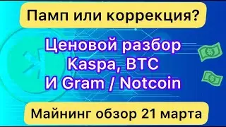 KASPA, BTC -- ЦЕНОВОЙ РАЗБОР ❗️ А ТАКЖЕ GRAM И NOTCOIN // МАЙНИНГ ОБЗОР 21 МАРТА