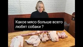 ЭКСПЕРИМЕНТ какое мясо больше любят собаки?