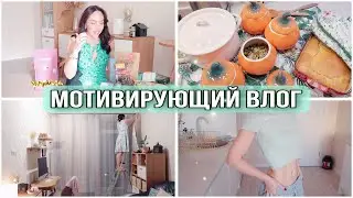 КАК УБРАТЬ ЖИВОТ✨ГОТОВЛЮ на ДВА ДНЯ. ВКУСНЫЙ БОКС. КРАСКИ ОСЕНИ в ПОЛЁТЕ НАД ПАРКОМ🍁