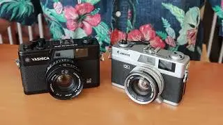 Canonet vs Yashica, which is the best street camera?